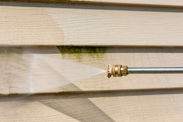 Deck Cleaning Services in Eatonville, WA
