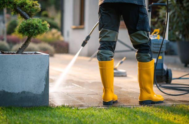 Best Roof Pressure Washing  in Eatonville, WA